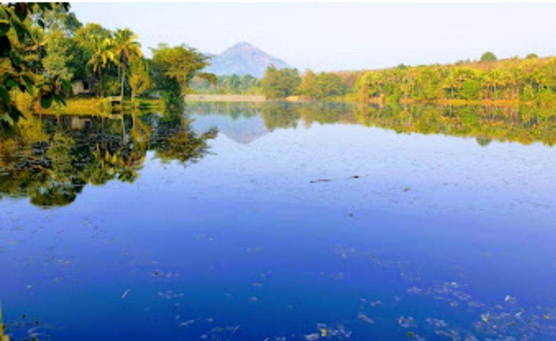 Sparrow Vale Resort Kotamangalam Luaran gambar